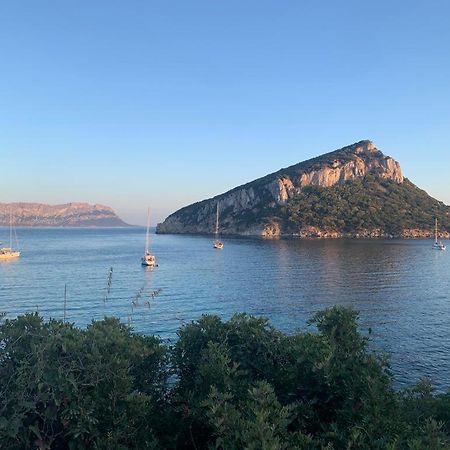 Appartamenti Le Primule Golfo Aranci Kültér fotó