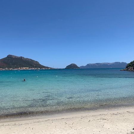 Appartamenti Le Primule Golfo Aranci Kültér fotó