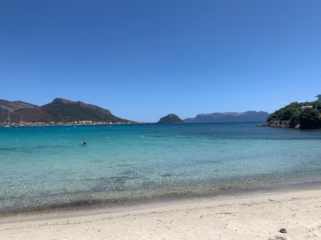 Appartamenti Le Primule Golfo Aranci Kültér fotó